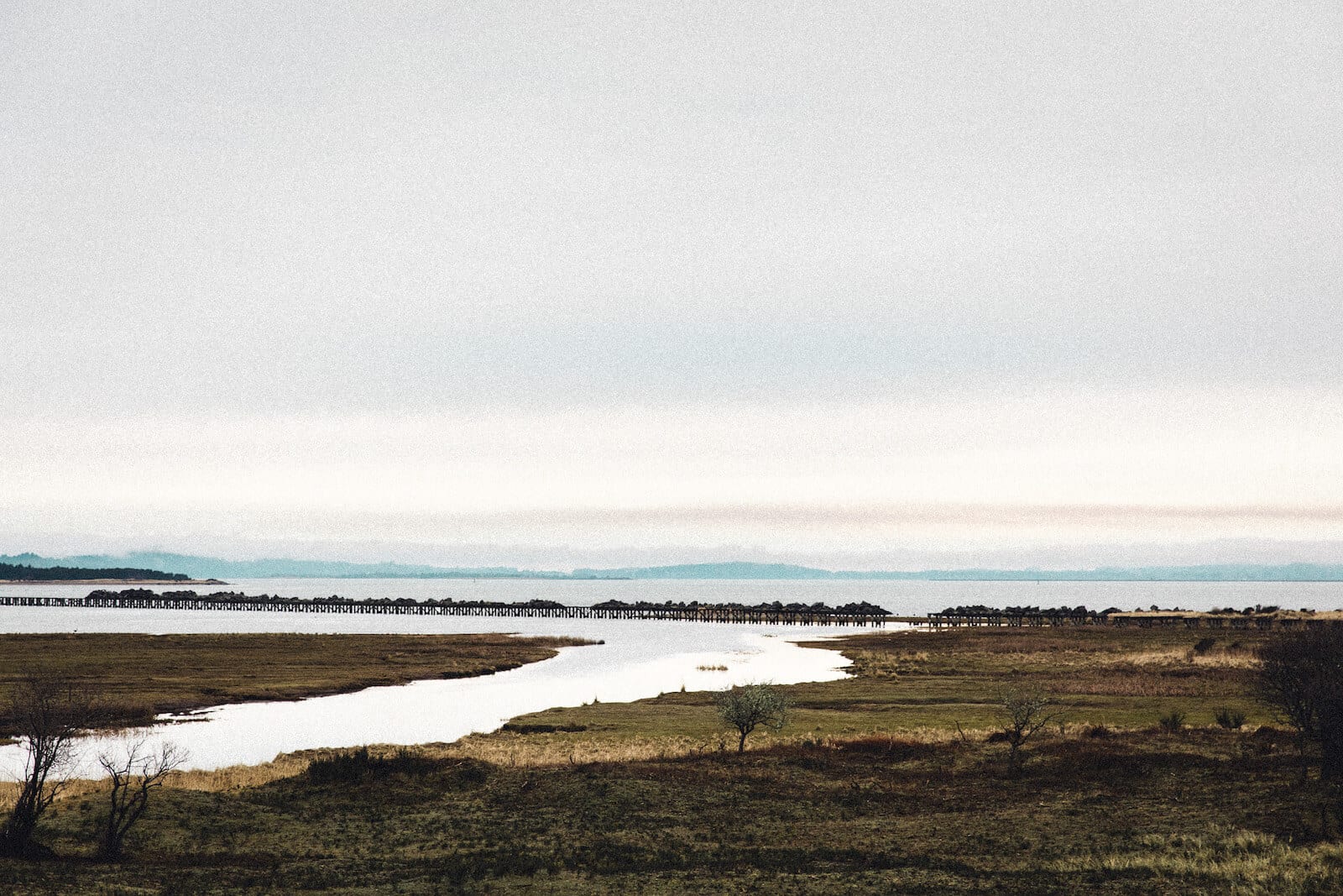 SAO_7095 - ROAMERICA