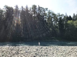 UR FAVORITE CAMPGROUNDS NEAR OLYMPIC NATIONAL PARK