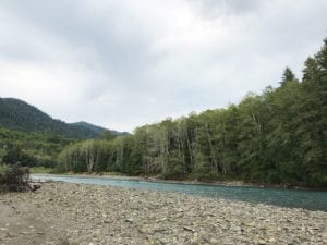 UR FAVORITE CAMPGROUNDS NEAR OLYMPIC NATIONAL PARK