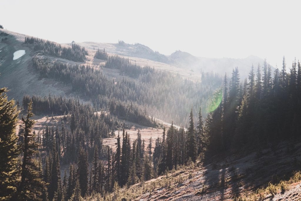 Top 5 Must Do Attractions in Olympic National Park