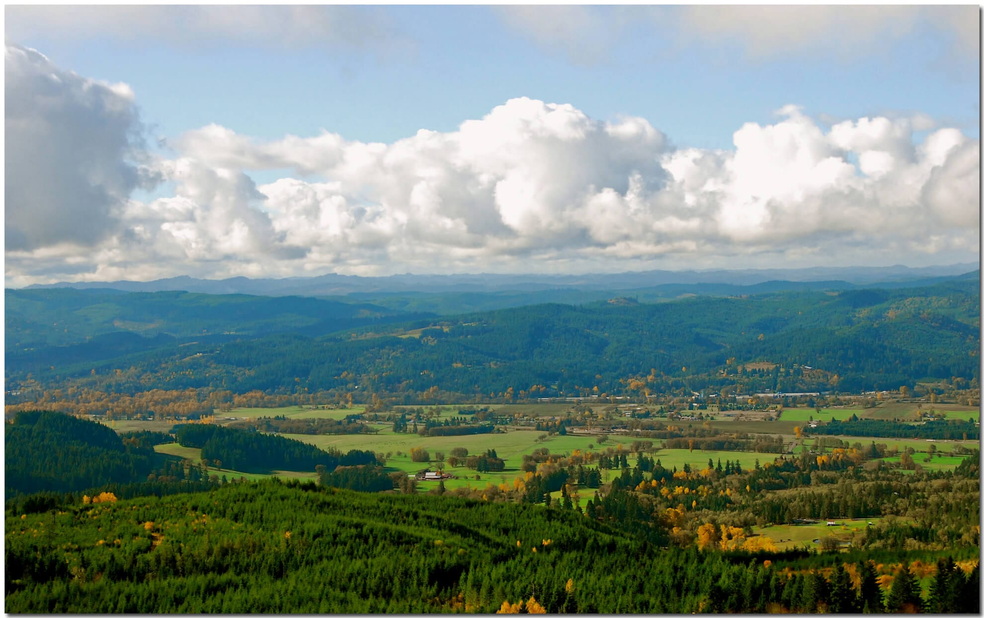 Fall in Willamette Valley Oregon
