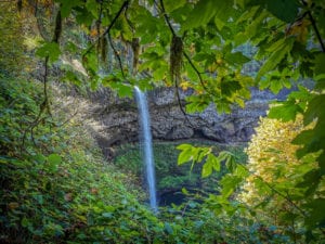 Silver Falls Stat Parks waterfalls are breathtaking and you can walk behind the waterfall