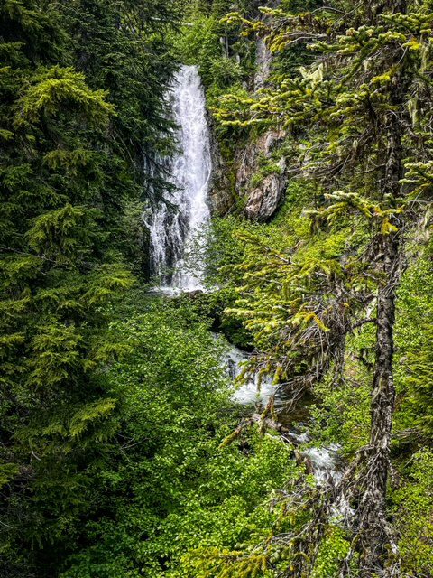 Waterfalls in the Mt Hood wilderness