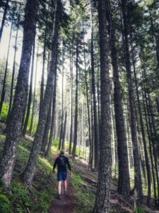 Hike in the Mt Hood wilderness