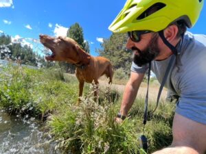 Mountain biking with your dog