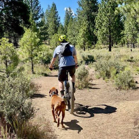 Mountain biking with your dog