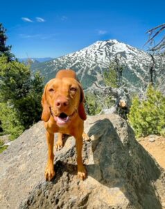 Hiking Central Oregon with our dog