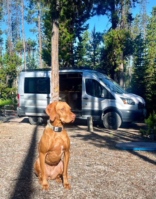 Hiking and camping in Central Oregon with our dog